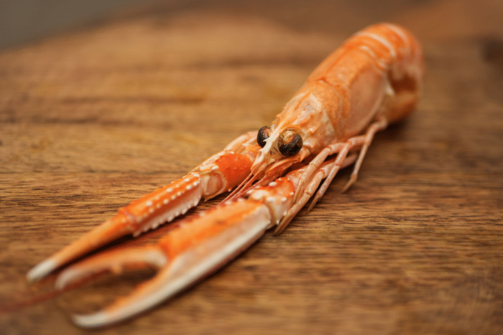 cuisson des langoustines cuisson des langoustines