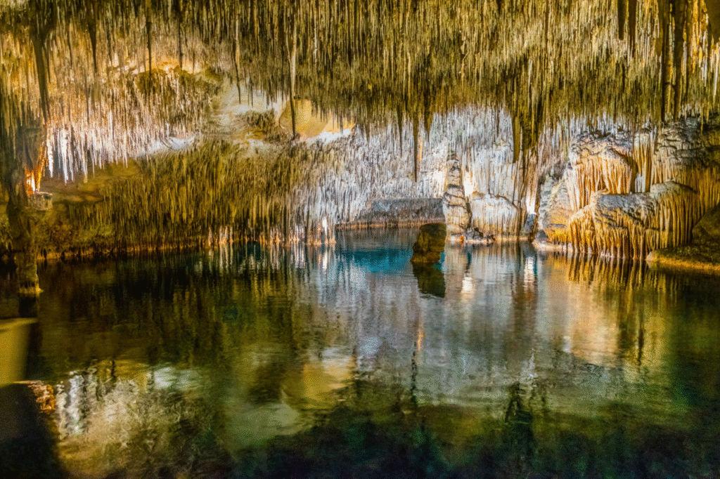 caves del drach