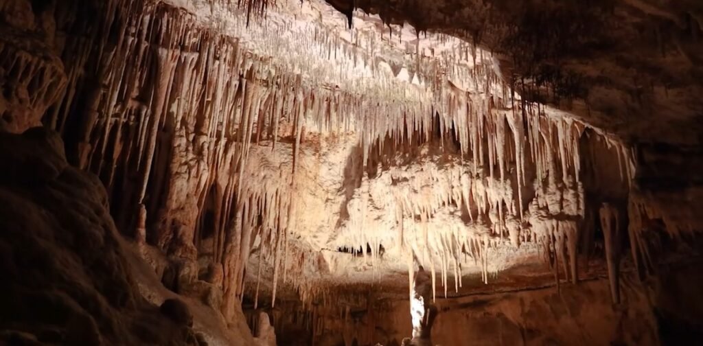 caves del drach caves del drach